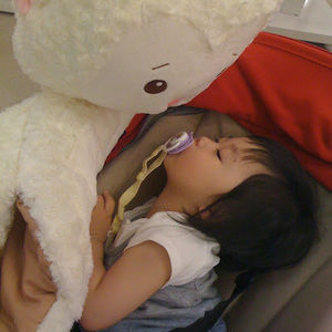 Meet your Posher, Apple